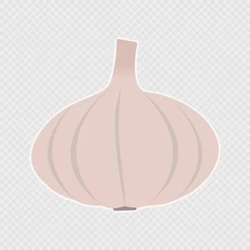 Cartoon single garlic. Vector illustration. Illustrazione stock