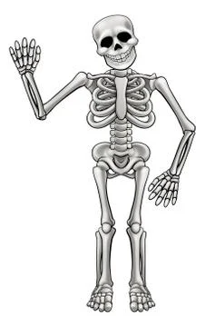 Cartoon Skeleton 스톡 일러스트