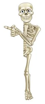 Cartoon Skeleton Pointing イラスト素材