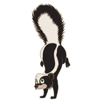 Cartoon Skunk Stock Illustration