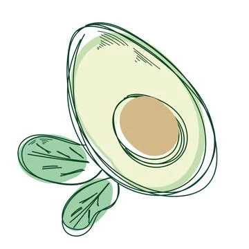 Cartoon slice of avocado with core and leaf isolated on the white 스톡 일러스트