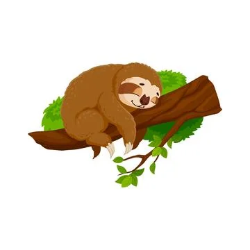 Cartoon sloth character slumbers on tree branch 스톡 일러스트