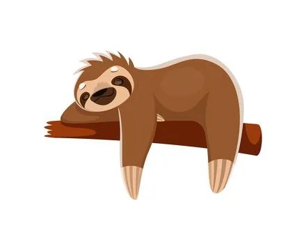 Cartoon sloth peacefully slumbers on tree branch 스톡 일러스트