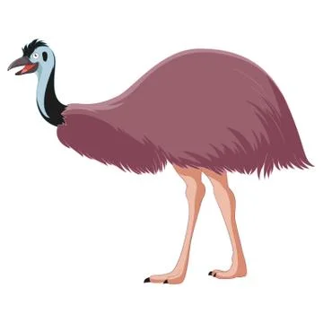 Cartoon smiling Emu Stock Illustration