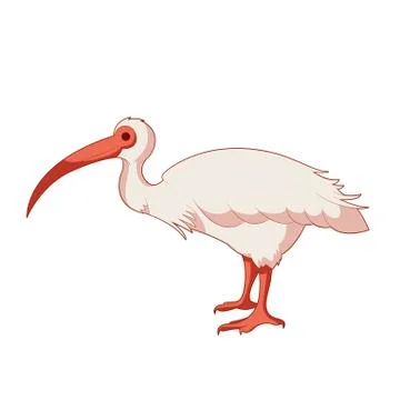 Cartoon smiling Ibis Stock Illustration