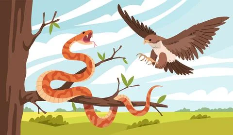 Cartoon snake nature. Eagle attacks snake on tree branch, natural habitat 库存插图