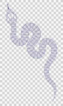 Cartoon snake pattern with blue lines イラスト素材