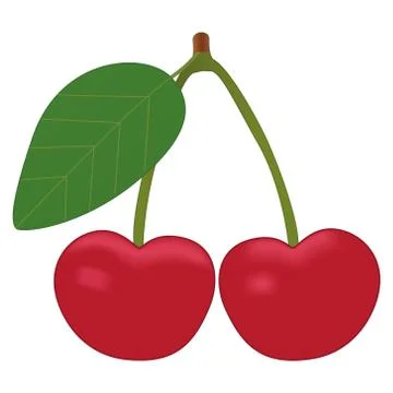 Cartoon Sour Cherry Vector on Isolated White Background Stock Illustration