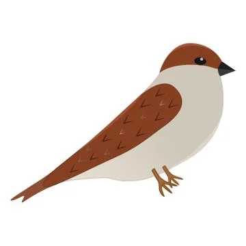 Cartoon Sparrow Vector on Isolated White Background Stock Illustration