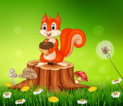 Cartoon squirrel holding pine cone on tree stump in summer season background Stock Illustration