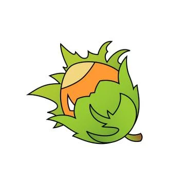 Cartoon stle hazelnut vector illustration isolated on white backgorund. Stock Illustration