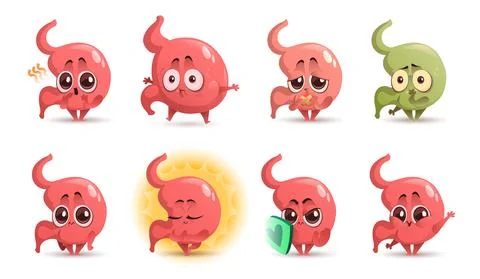 Cartoon stomach character, cute tummy mascot. Stock Illustration