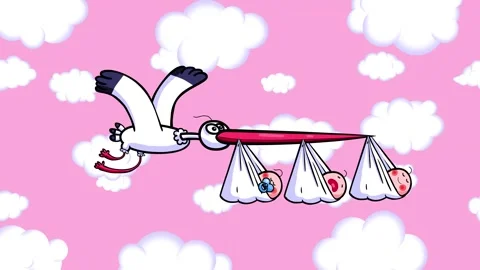 Cartoon storks bringing triplets flight Stock Video Pond5