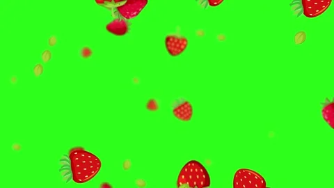Cartoon strawberries falling and floating on green screen background loop. Stock Footage 333035973