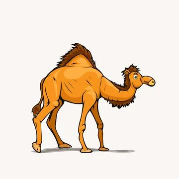 Cartoon style arabic camel on white back Stock Illustration
