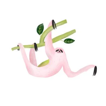 Cartoon style drawing of sloth hanging on branch Stock Illustration