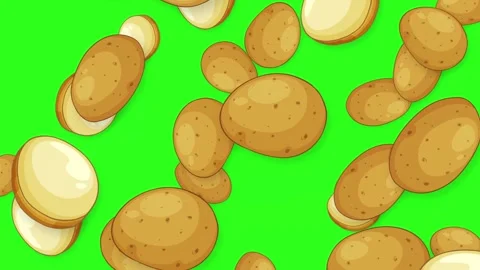 Cartoon Style Falling Whole and Sliced Potatoes on Green Screen Stock Footage 345118055
