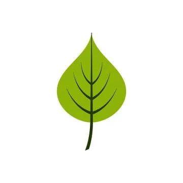 Cartoon style linden leaf vector illustration isolated on white background. Stock Illustration