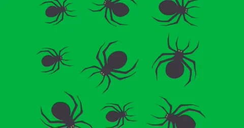 Cartoon-style spiders creating repeating pattern against transparent background Stock Footage 317527367