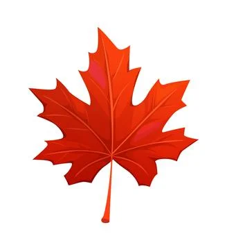 Cartoon sugar red maple leaf, autumn foliage Stock Illustration