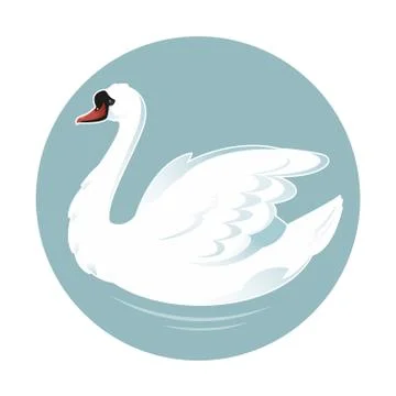 Cartoon swan Stock Illustration