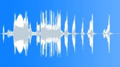 Cartoon teenager loud laughSound Effect