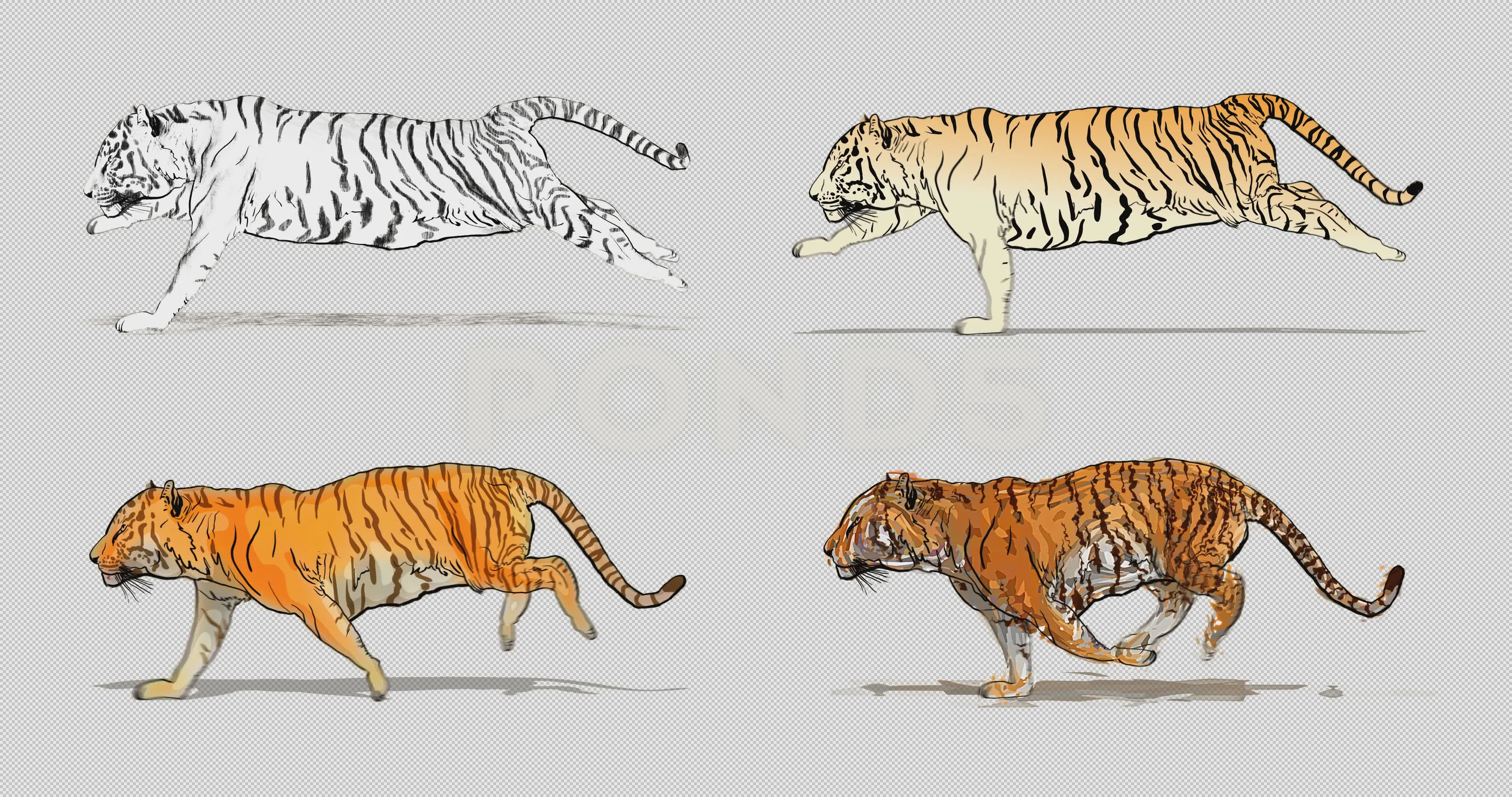 Cartoon tiger running. Animation cyclica... | Stock Video | Pond5