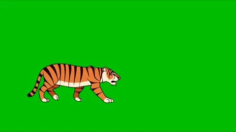 Cartoon tiger steps from left to right on a green background Stock Footage 231479087