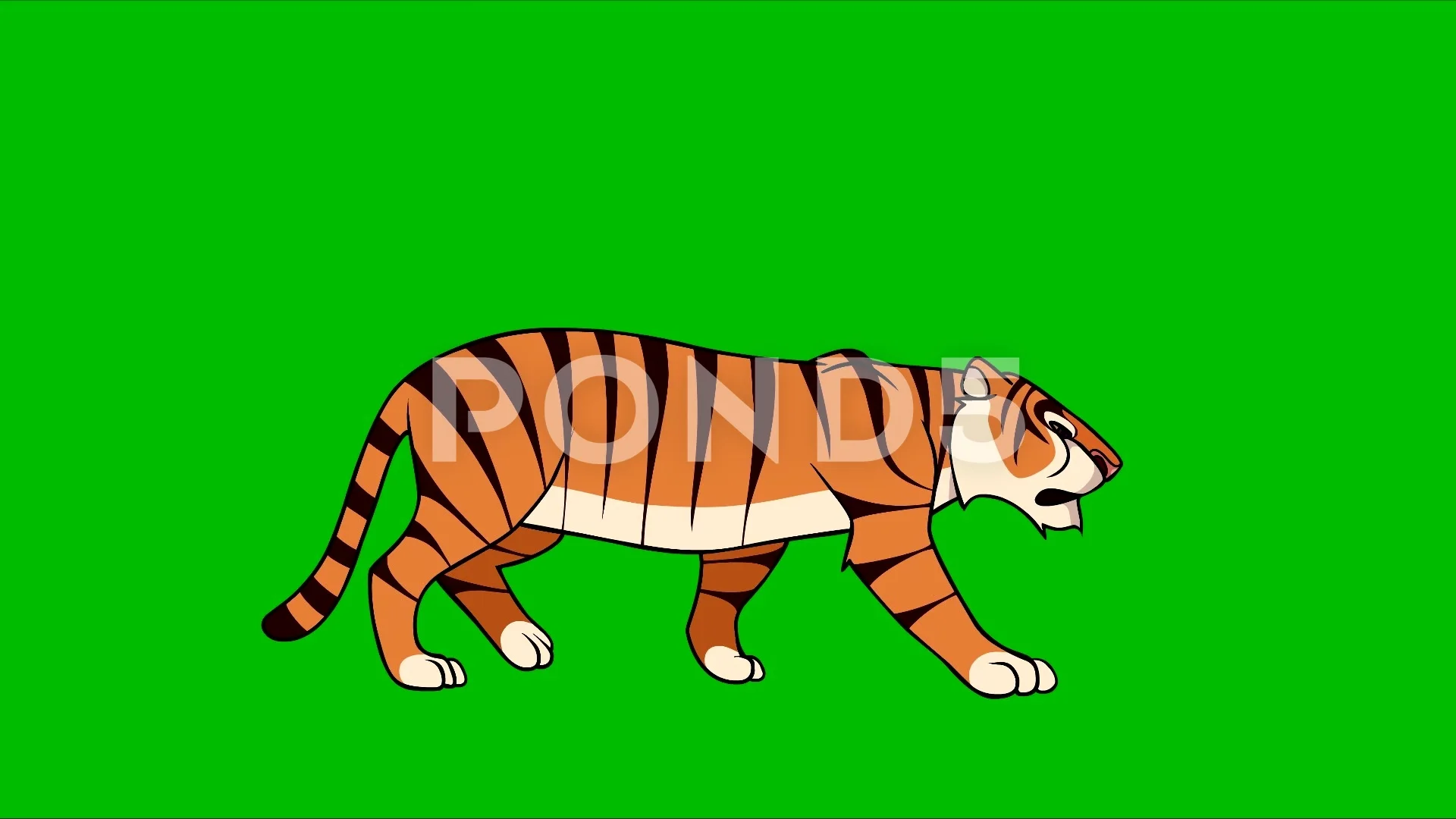 Bengal Tiger In Grass Stock Photo - Download Image Now - Orange Tiger,  Orange Color, Tiger - iStock