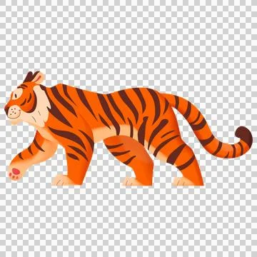 Cartoon tiger walking pose isolated on transparent canvas. Ilustração Stock
