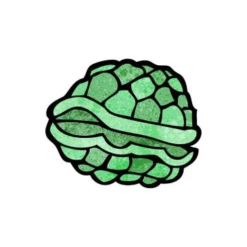 Cartoon tortoise shell Stock Illustration