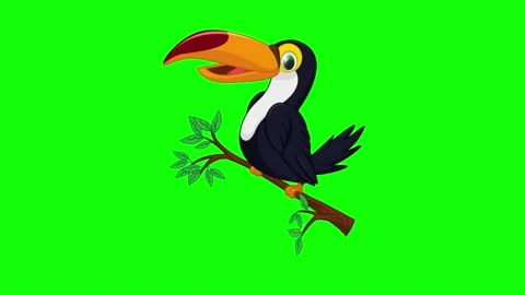Cartoon toucan bird on tree 2d animation screen green Stock Footage