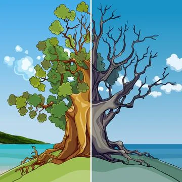 Cartoon tree growing on the seashore half growing green half withered Stock Illustration