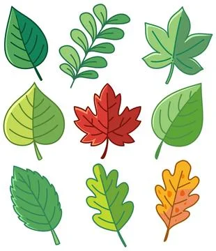 Cartoon Tree Leaves Vector Illustration Collection Illustration