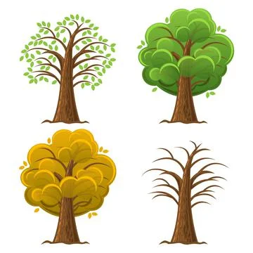 Cartoon tree, oak in the different seasons year. Vector illustration. Stock Illustration