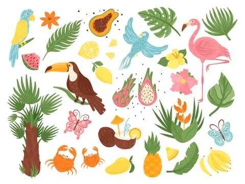 Cartoon tropical exotic elements vector illustration set, flat collection with 스톡 일러스트