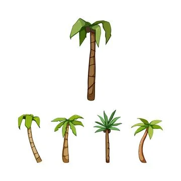 Cartoon tropical palm trees with coconuts drawing set Stock Illustration