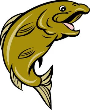 Cartoon trout fish jumping side Stock Illustration