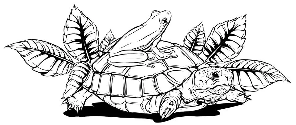 Cartoon turtle and frog vector illustration art Illustrazione stock