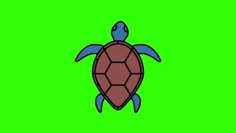 Cartoon Turtle Icon on Green Background Stock Footage 315369554