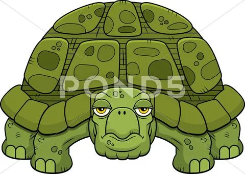 Cartoon Turtle Stock Illustration