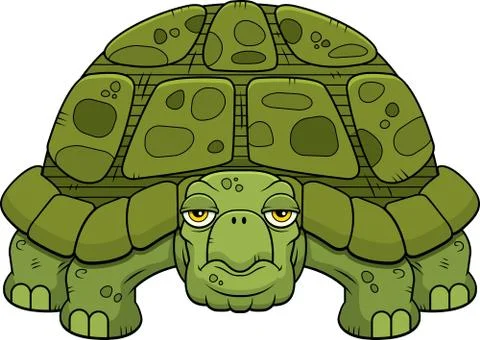 Cartoon Turtle Stock Illustration