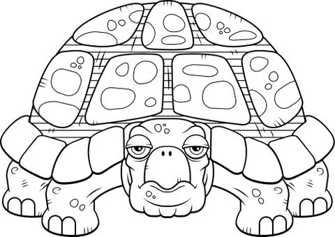 Cartoon Turtle Illustrazione stock