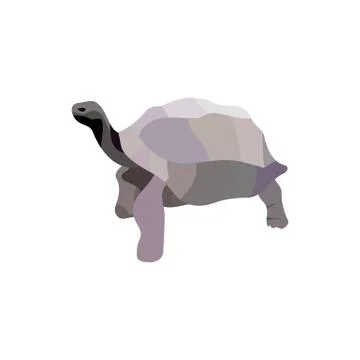 Cartoon turtle isolated on white background. Vector Stock Illustration