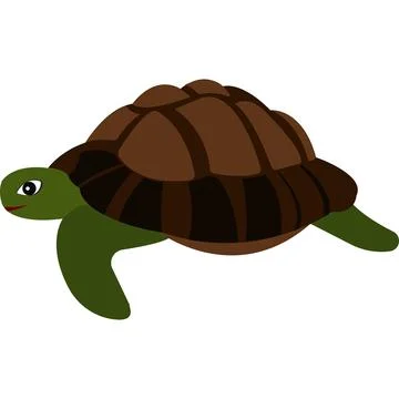 Cartoon turtle. Turtle with a shell. Wild animal. Stock Illustration