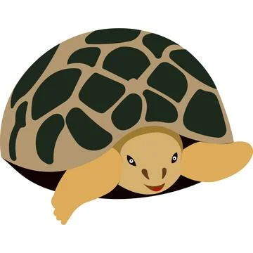Cartoon turtle. Turtle with a shell. Wild animal. Stock Illustration