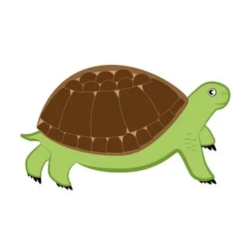 Cartoon turtle on a white background. Stock Illustration