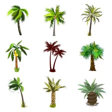 Cartoon various palm tree set Stock Illustration