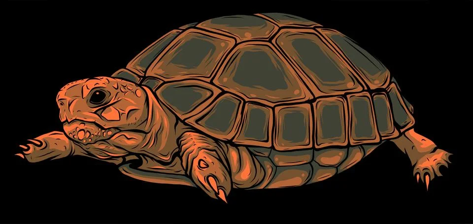 Cartoon vector on black background turtle. vector Stock-Illustration