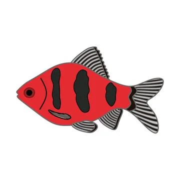 Cartoon Vector illustration black ruby barb fish icon Isolated on White Bac.. Illustrazione stock